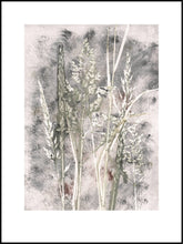 Indlæs billede til gallerivisning Græs dis 30x40 cm