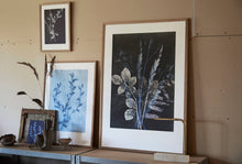 Indlæs billede til gallerivisning Vicia kongeblå 30x40 cm