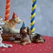 Indlæs billede til gallerivisning Fødselsdagslys Gravhund
