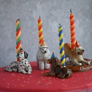 Fødselsdagslys Gravhund