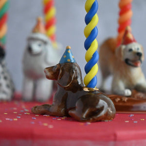 Fødselsdagslys Gravhund