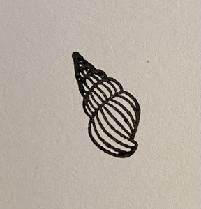 Konkylie stempel