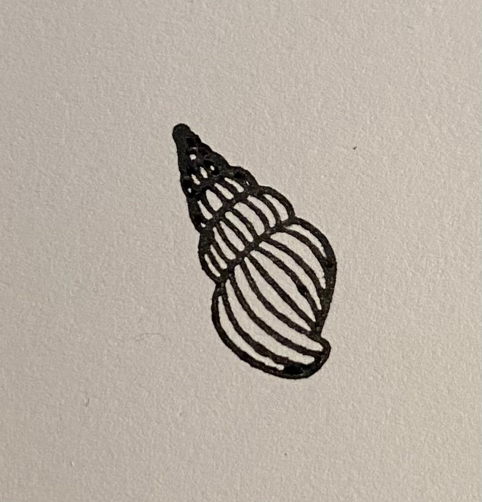 Konkylie stempel