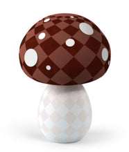 Indlæs billede til gallerivisning Flettet Fluesvamp
