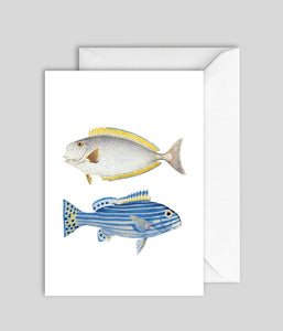 Kort Blå og gule fisk