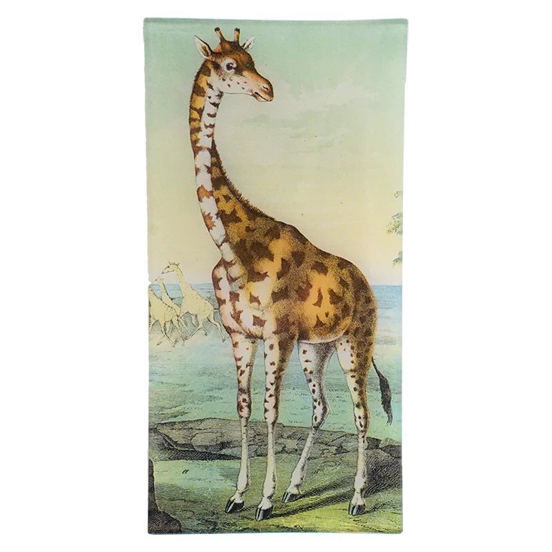 Blyantbakke “Giraffe”