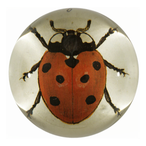 Glas Brevvægt “Red Ladybug”