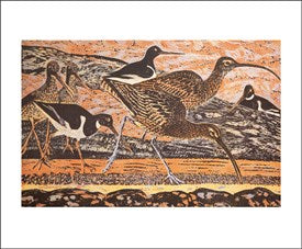 Kort “Curlew and Oystercatchers”