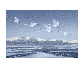 Kort “Snow Flight”