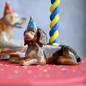 Fødselsdagslys Gravhund
