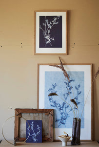 Vicia kongeblå 30x40 cm